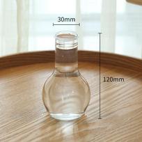 Hyacinth Vase Transparent Flower Plant Bottle Pot DIY Ornaments Home Living Room Garden Decoration Desk Decors Flower Vase beige