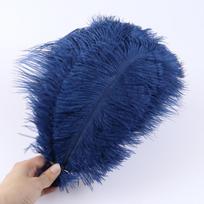 15-40 cm Dideli stručio plunksnos 10 vnt Natūralios dekoratyvinės plunksnos Vestuvių gėlių kompozicijoms Karnavalinio kostiumo skrybėlei Dekoravimui 15-20cm tamsiai mėlyna spalva