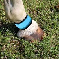 Leg Strap For Horse 4 Pieces Reflective Animals Foot Wraps Horse Leg Bands With LED Light For Grassland Stables Equestrian Night China Mainland white