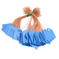 Stylish Plastic Hanging Tags for Gardening Plant Pack of 100 Waterproof Labels mėlyna