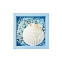 Handmade Notebook With 2 Rings Natural Shell Binder Cover Pocket Diary 30 Sheets Unruled For Daily Journaling Sketching balta