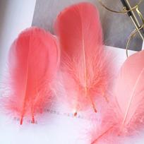 Natūralių žąsų plunksnų plunksnos 4-8cm 8-12cm gulbės plunksnos namų dekoravimui, pasidaryk pats, vestuvinių papuošalų priedai 2000 vnt. 4-8cm 100pcs arbūzo raudonos spalvos