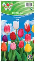 Svogūninės gėlės tulpė MIX, 10 - 11 mm, 100 vnt.
