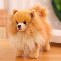 Mielas simuliacinis Pomeranijos špicas lėlė pliušinis žaislas šuniukas Bichonas šuo lėlė vaikų draugas raminanti skudurėlinė lėlė 26*23cm（0.25kg） orange