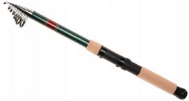 Teleskopinė meškerė RUMPOL CLUB 4,5 m, 80–120 g, 110218