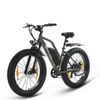 Elektrinis miesto dviratis SPATIAL 26 *4 Žalias-Variklis 1000W - Nuimama ličio baterija 48V13Ah - Shimano 7 pavaros - Nuvažiuojamas atstumas 110km