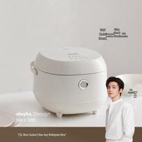 Olayks Smart Multi-Function Rice Cooker CN plug (adapter included) gray