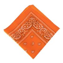 Sports Supplies Neck Scarf Handkerchief Paisley Bandana Printed Square Scarves Hair Band Wristband ryškiai oranžinė spalva