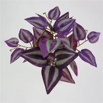 Ipomoea Batatas Artificial Green Wall Foliage With Vibrant Leaves For Home Or Event Decor Purple Eyebrow gray