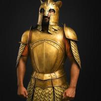 Viduramžių pusės šarvų Cosplay Helovino kostiumas Puiki dovana jam brown