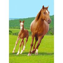 Horses Vaikiškas pledas 100*140 cm