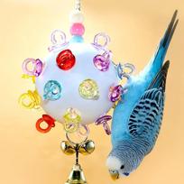 Home Comforts Budgie Animal World Parakeets Blue Bird-20 Inch By 30 Inch Laminated With Bright Colors And one size geltona