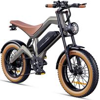 F-WHEEL M20 storapadis elektrinis dviratis 1000W variklis 48V 18.2Ah nuimama baterija 20 colių visureigis e-dviratis hidraulinis stabdys Shimano 7 pavaros 48V 18.2Ah 750W pilka