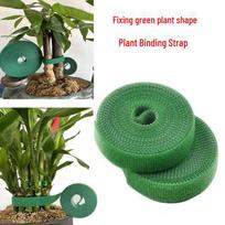 Green Velcro Straps for Plant Bundling: 1m, 3m, 5m Lengths 12mm x 150mm blue