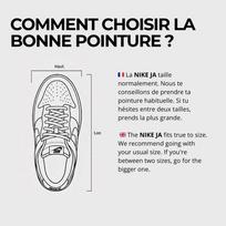 Nike Ja 3 Jurassic Park Raptor 44 gray