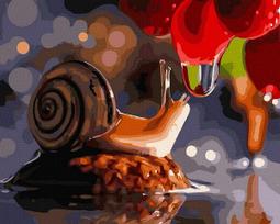 Tapyba Pagal Skaičius: „Sraigė ir rasos lašas“ 40x50 cm
