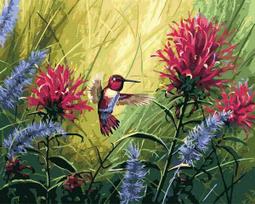 Tapyba Pagal Skaičius: „Kolibris tarp žiedų“ 40x50 cm