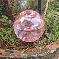 6Pcs Plant Watering Globes Set Watering Globes for Indoor Plant Flowers Outdoor Plant Watering Bulb Dripper