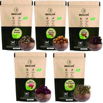 BRALCON Natural Raw Reetha, Amla, Shikakai, Bhringraj, Hibiscus Combo - 500g (100g x 5 Pack) | 100% Natural Whole Dried Shikakai, Reetha Nuts, Amla white