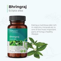 Bhringraj Tablets by Merlion Naturals | Eclipta alba | 500mg (120 Tablets)