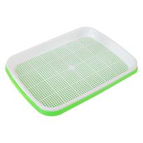 Home First-Class Seed First-Class Germination Superior-Grade Tray High-Standard Sprout Superior-Grade Vegetable Premium-Quality Seedling white