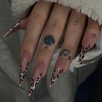 24Pcs Long Stiletto Press On Nails, Nude with Leopard Print French Tips Fake Nails for Edgy Y2K Style United States brown