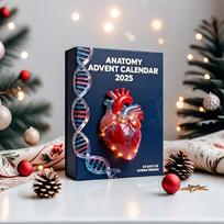 2026 Anatomys Advents Calendar Sturdy 2D Flat Acrylic Xmas Ornaments For Classroom Educational Prop China Mainland gray