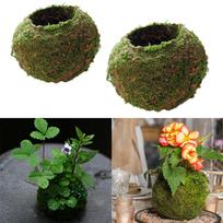 Ball Flower Pot Planter Bonsai Plant Holder Home 9cm & 12cm black