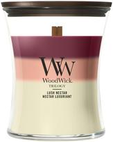 Žvakė, aromatinė WoodWick Lush Nectar, 50 - 65 h, 275 g, įvairių spalvų