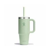 Hydro Flask vidutinė termo gertuvė su šiaudeliu Aloe 709 ml