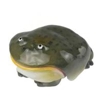 Novelty Frog Protective Case Ugly Frog Earbuds Case Funny Animal Wireless Earphone Protector Cover for Airpods A Regular Style
