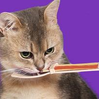 Cat Squeeze Feeder Cat Kitten Wet Food Spoon Strip Squeeze Feeder Indoor Outdoor Feeding Lickable Wet Food Multi Functional United States brown