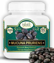 Biotic Mucuna Pruriens Capsules - Kaunch Beej Capsules - Kapikachu Capsule Supplements 500mg Extract - 60 Veg Capsules