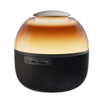 Philips TAS2009 Desktop Bluetooth Speaker CN plug (adapter included) (CN version)