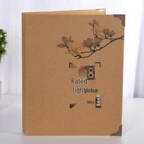 RMB Currency Collection Album: Commemorative Banknotes & Coins Storage, Large Capacity, Loose-leaf Design 40 Banknote Pages + 5 Coin Pages gray