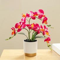 Phalaenopsis gėlė Šilkinė druginė orchidėja Vazoninis augalas Bonsai orchidėja Nauja dirbtinė Phalaenopsis oranžinė