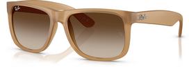 Vyriškas Akiniai RAY-BAN RB4165 681413