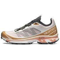 Salomon XT-6 FT Morganite Fenugreek Unisex Sneakers White Black L41620500 42 gray