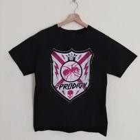 THE PRODIGY  Rock Band All Sizes Unisex Shirt AR430 Unisex T-Shirt XXXL gray