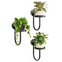 3Pcs Practical Metal Flower Pot Wall Hanging Shelf Plant Holder for Hanging and Potted Plant Indoor Wall Mounted Space 1 black