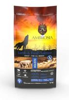 AMBROSIA begrūdis su ėriena ir šviežia lašiša sausas maistas šunims, grain-free Lamb & Fresh Salmon 12 kg