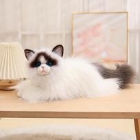 50CM Imituotas Skudurinės Lėlės Katės Pliušiniai Žaislai Ilgaplaukės Mėlynakės Lėlės Kawaii Namų Dekoracija Realistiški Gyvūnų Žaislai 50cm white