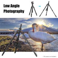 TRIOPO K268 Portable Photography Tripod Stand Aluminum Alloy 360 degrees Panorama Ball Head 162cm 63.8in Max. Height juoda
