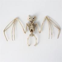 Helovino dekoracija Siaubo skeletas Dirbtinis žmogaus šikšnosparniai Žiurkė Voras Gyvūno skeletas Helovino vaiduoklių namas Siaubo rekvizitas Ornamentas Žaislai gray
