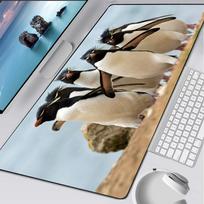 penguin antarctica cute madagascar Mouse Pad Rubber Mat Laptop Xxl Mousepad Notebook Gamer Computer Table Gaming Accessories 600x300x2mm black