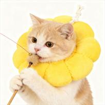 Saulėgrąžų katės Elžbietos apykaklė: Reguliuojamas minkštas antilakimo/kandimo kaklo apykaklė katėms po operacijos Yellow Sunflower, Adjustable Drawstring beige