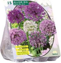 Dekoratyvinio česnako svogūnėliai, lot. ALLIUM MIX PAARS-WIT, 15 vnt