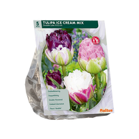 Tulpių svogūnėliai, lot. TULIPA ICE CREAM MIX, 5 vnt