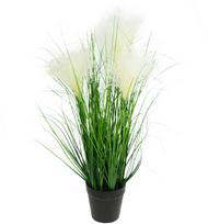 Dirbtinė pampų žolė vazonėlyje, 45 cm