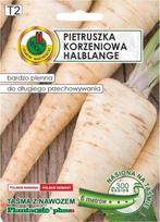 Pnos Apte Petražolės pusiau ilgos juostelės 6 m Vėlyva veislė, derlinga